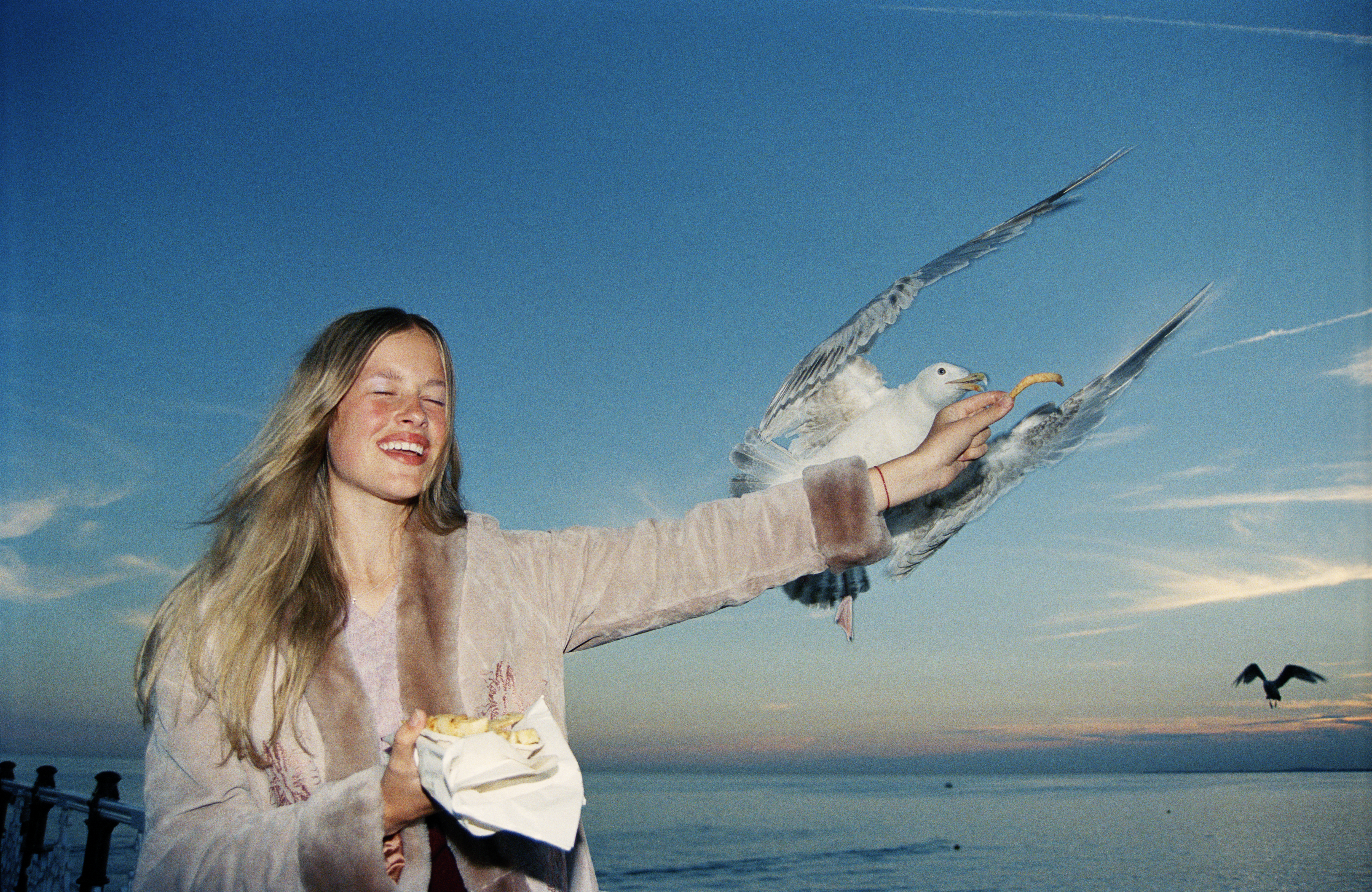 Elaine_Seagull_Original_35mm_img1_v1RGB