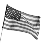 The United States of America