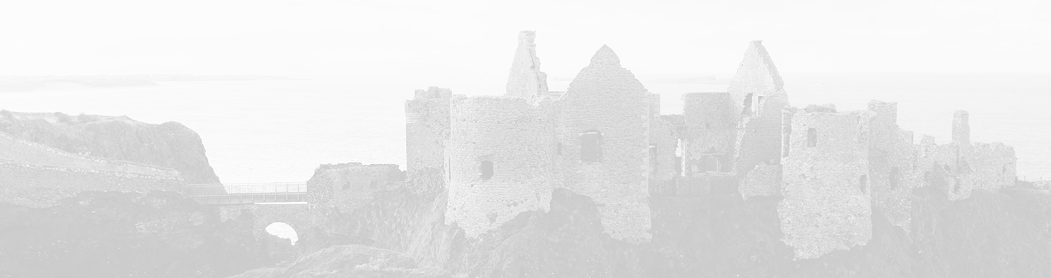 The History of Ireland