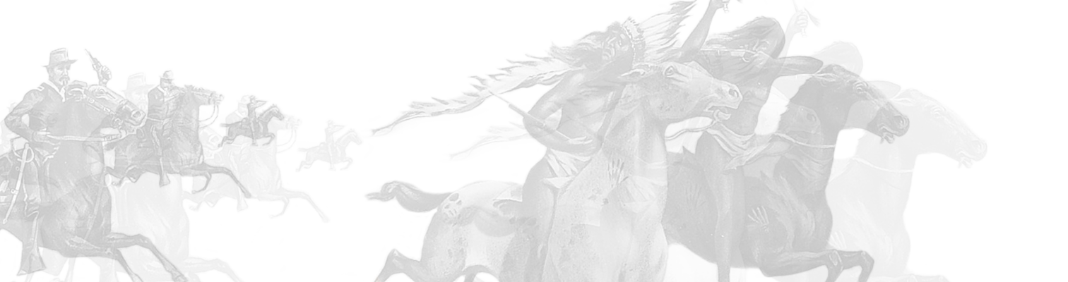 The American Indian Wars