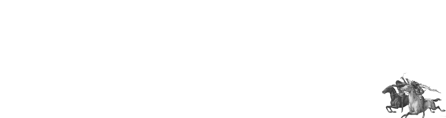 The American Indian Wars